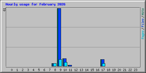 Hourly usage for February 2026