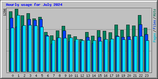 Hourly usage for July 2024