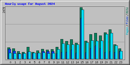 Hourly usage for August 2024