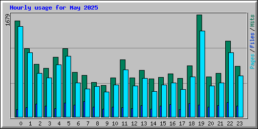 Hourly usage for May 2025