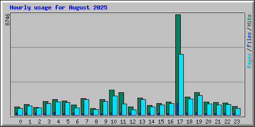 Hourly usage for August 2025