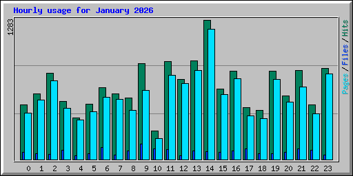 Hourly usage for January 2026