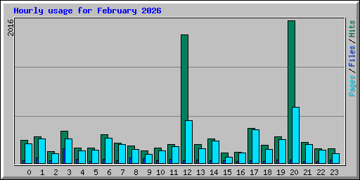 Hourly usage for February 2026