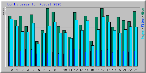 Hourly usage for August 2026