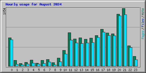 Hourly usage for August 2024