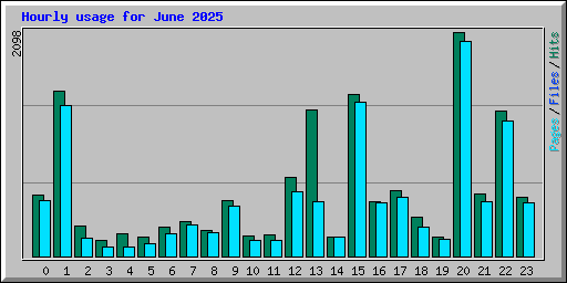Hourly usage for June 2025
