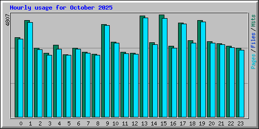 Hourly usage for October 2025