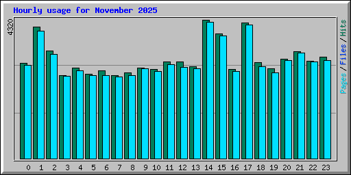 Hourly usage for November 2025