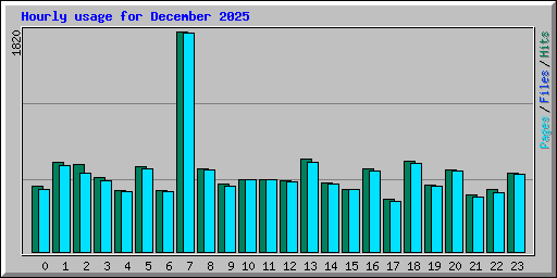Hourly usage for December 2025