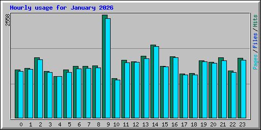 Hourly usage for January 2026
