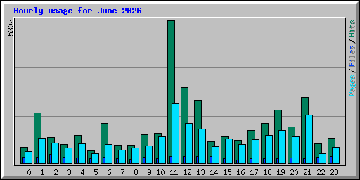 Hourly usage for June 2026
