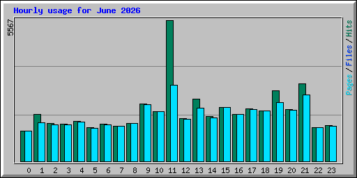 Hourly usage for June 2026