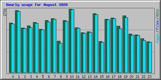 Hourly usage for August 2026