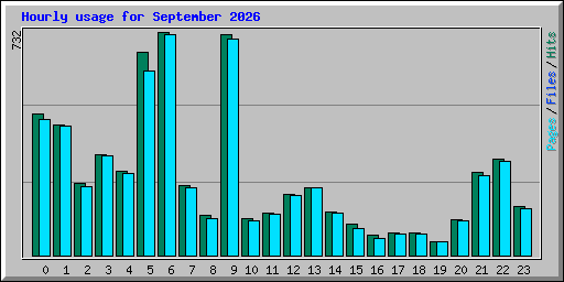 Hourly usage for September 2026